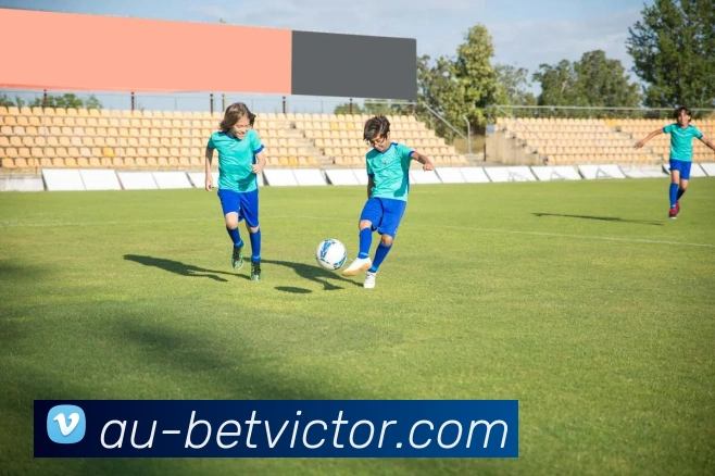 betvictor伟德官网平台生态图